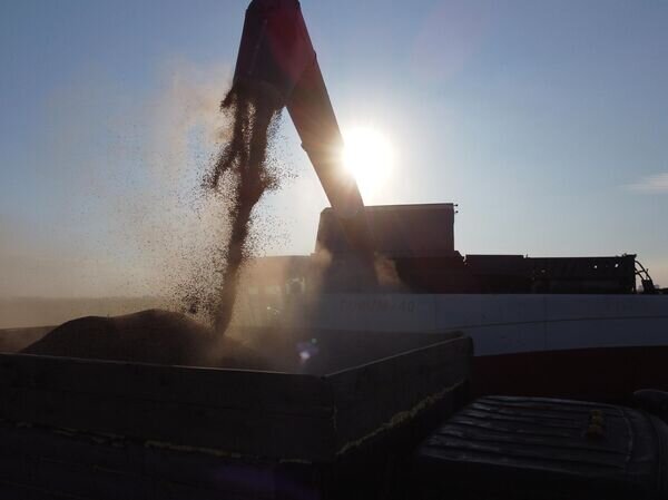   © РИА Новости Виталий Тимкив