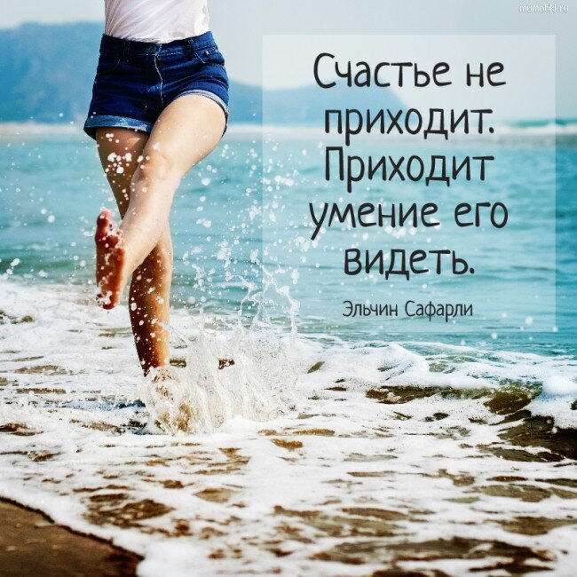 Из сети Интернет
