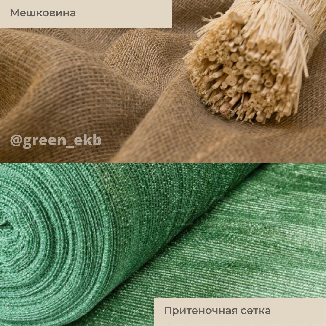 Укрытие хвойных