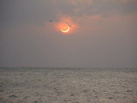     freeimages.com