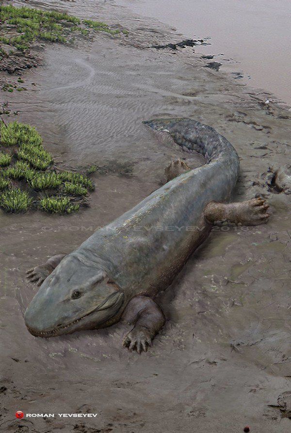 Всю жизнь по-пластунски…