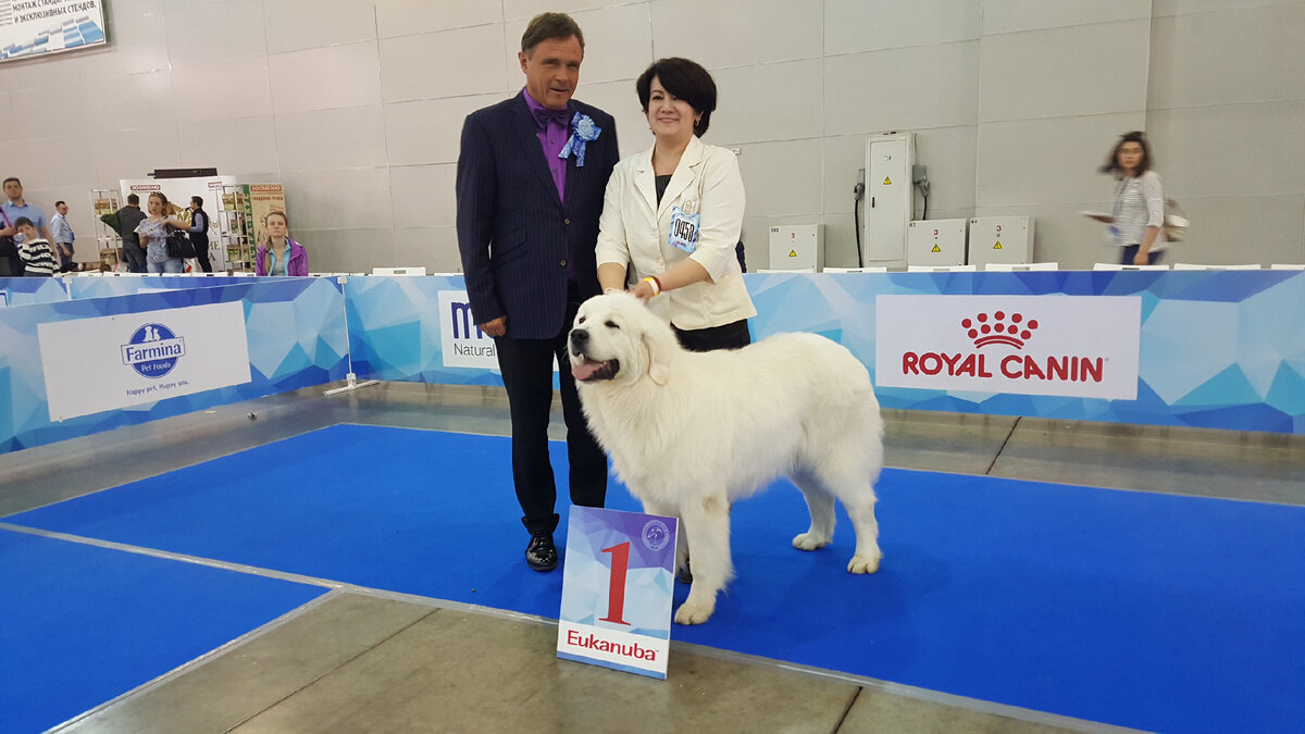 Жастин на выставке.