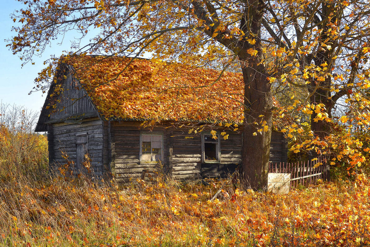 Старый дом (фото из открытых источников)