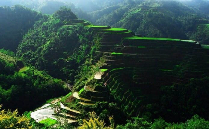 Остров Лусон - столичный и крупнейший из Филиппинских островов. Рисовые террасы Банауэ. (gas-kvas.com)