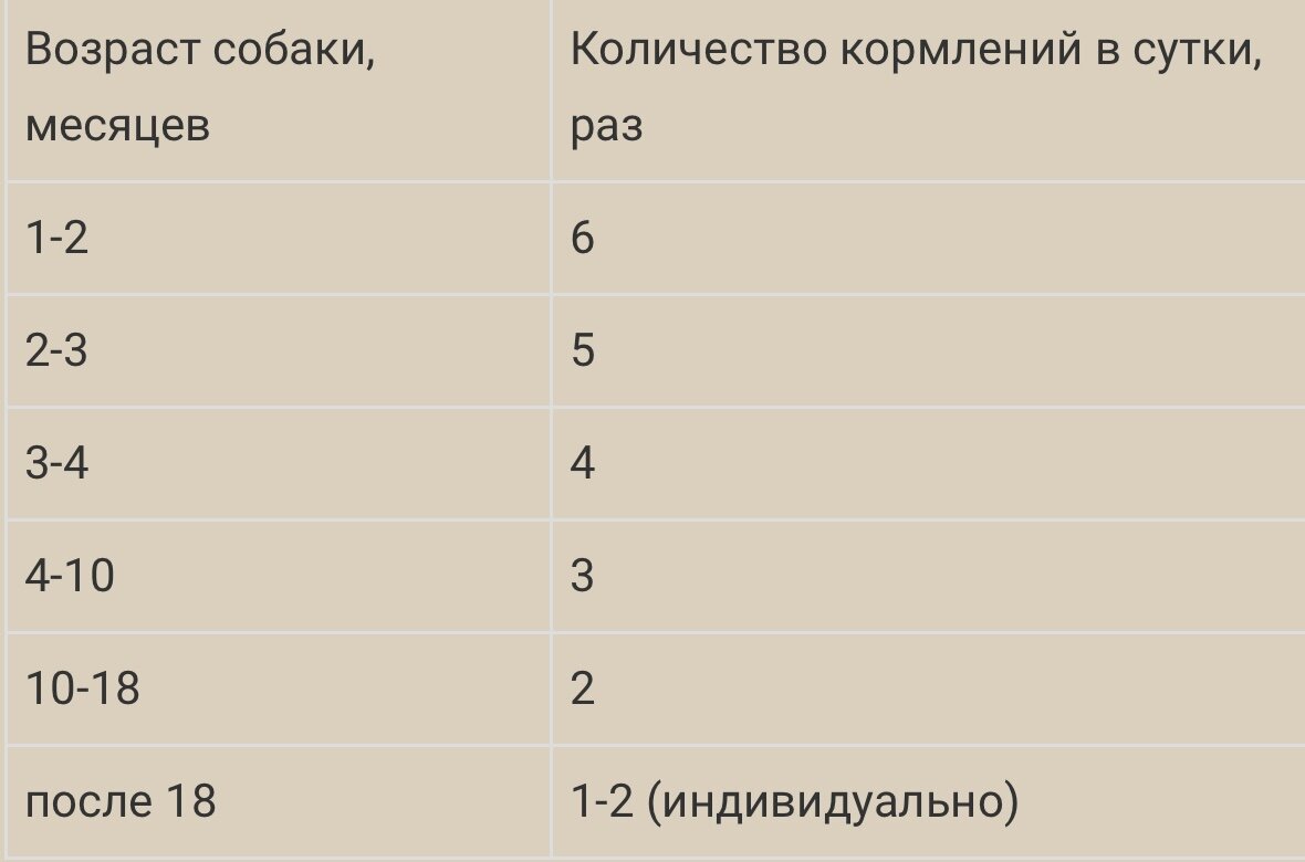 Как кормить щенка