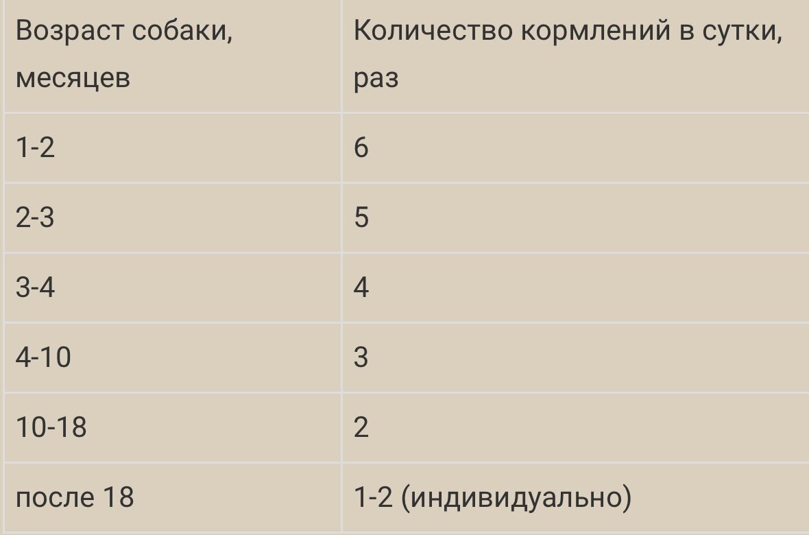 Сколько кормить щенка 5 месяцев