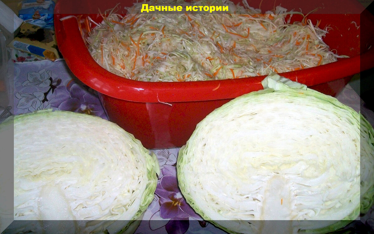 По какой причине горчит квашеная капуста и как это исправить?