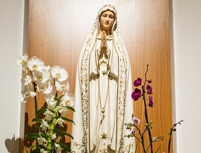 Изображение из открытого источника. Unsplash