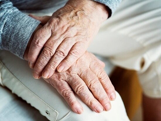     Фото: ru.freepik.com