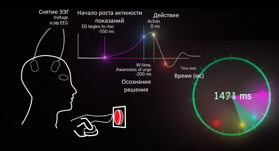 Бенджамин Либет, являющийся пионером нейрологии в области исследования человеческого сознания, использовал электроэнцефалограмму для измерения активности моторной области мозга, которая отвечает за планирование и контроль движений. В ходе экспериментов выяснилось, что активность в двигательных центрах коры головного мозга может быть зафиксирована за 300-350 миллисекунд до того, как человек почувствует, что он решил пошевелиться. 