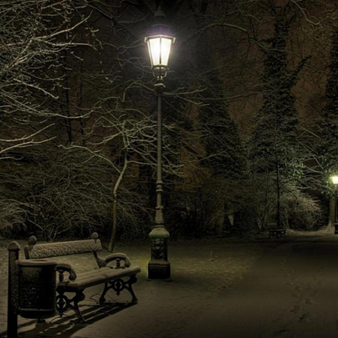 Ночной зимний парк