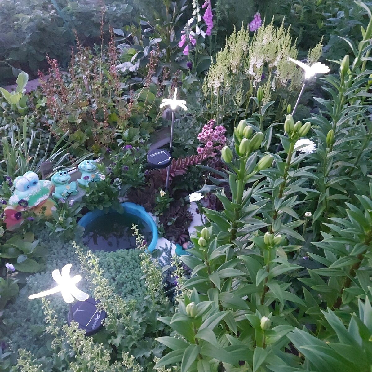 Подаренные мне светильники.