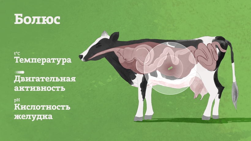    «Умная ферма» © Пресс-служба Департамента инвестиционной и промышленной политики Москвы