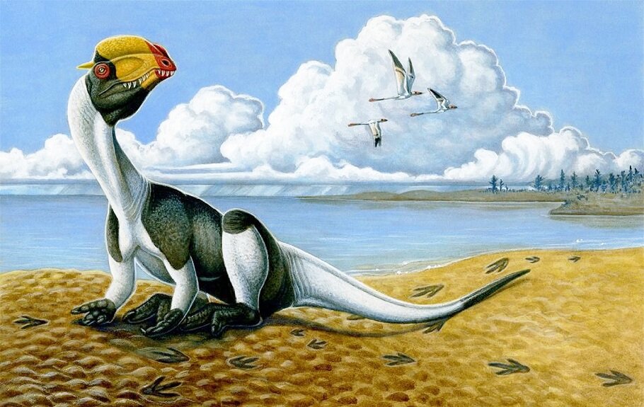 Дилофозавр. Опубликовано в Википедии (https://ru.wikipedia.org/wiki/Дилофозавр) пользователем FunkMonk со ссылкой на Heather Kyoht Luterman