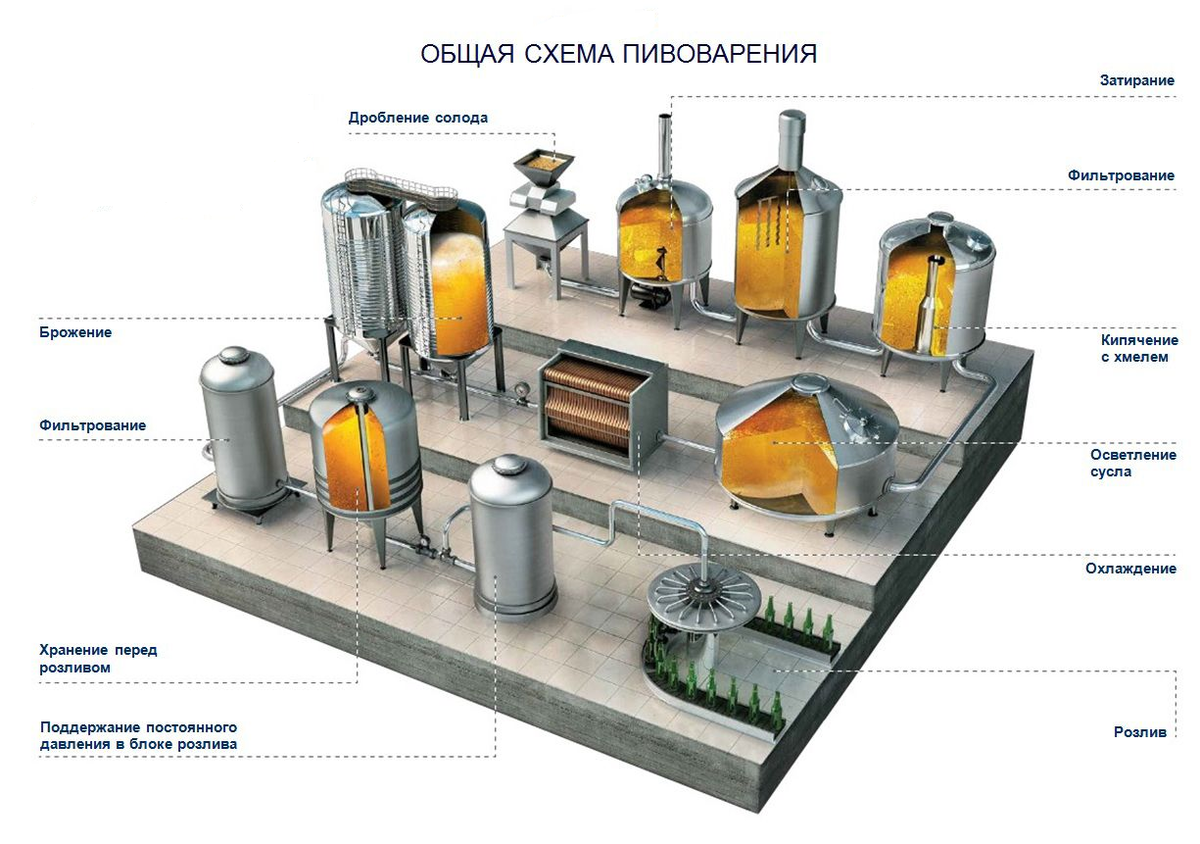 Бизнес план по открытию пивоварни