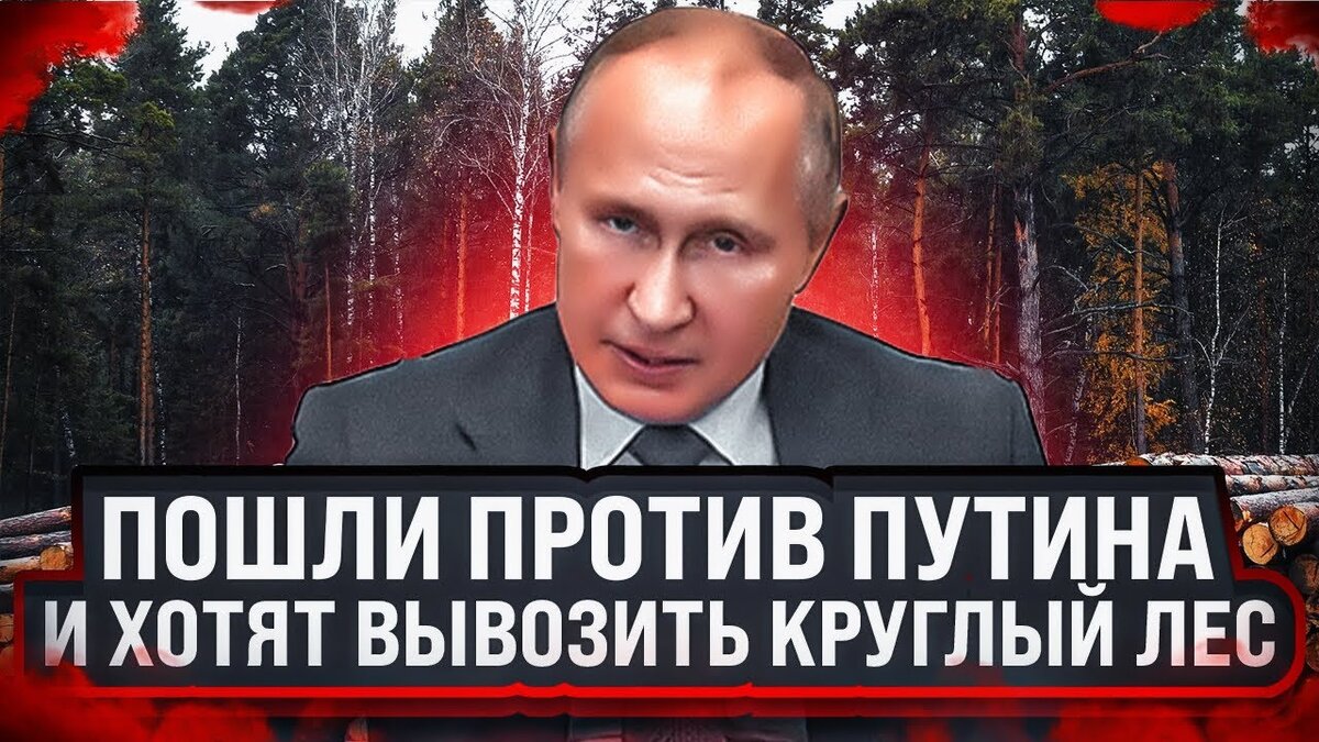 Автор: https://i.ytimg.com/vi/yASQYF43kDA/maxresdefault.jpg