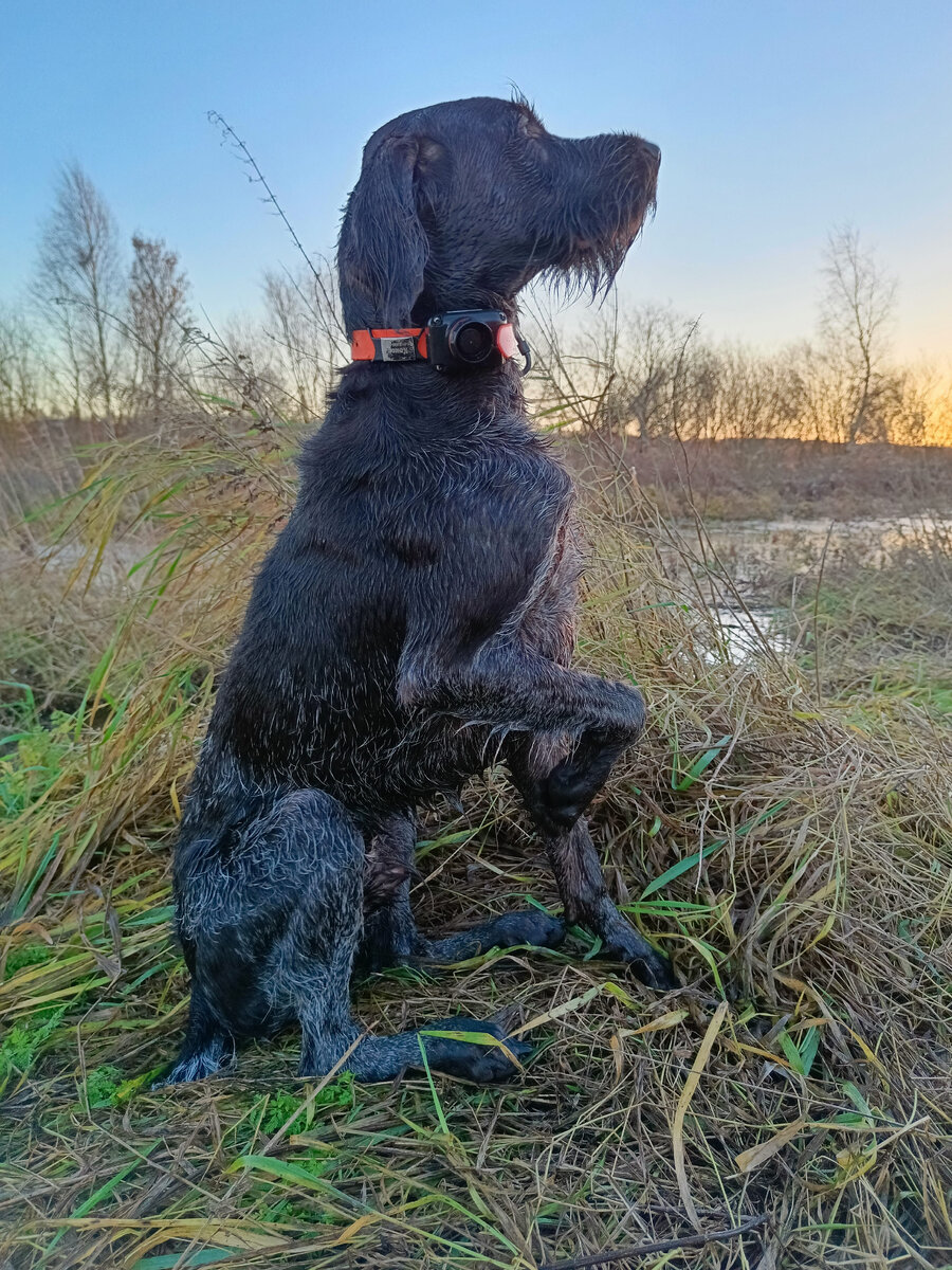 Любит так сидеть Кос
