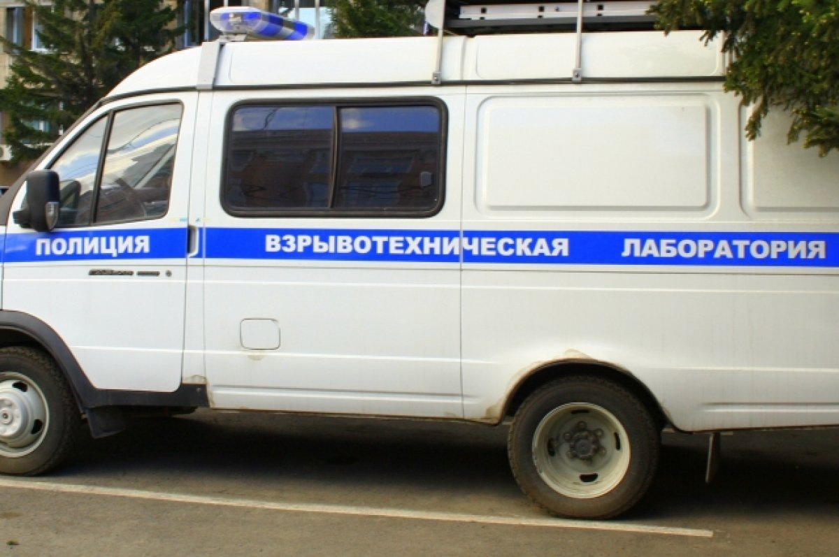    В Омске судят мужчину, отправившего более 200 ложных сообщений о терактах