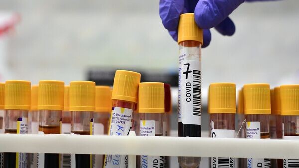   © Sputnik / Алексей Майшев