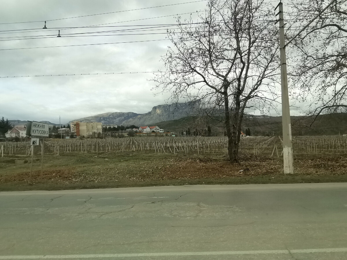 Виноградники спят пока.