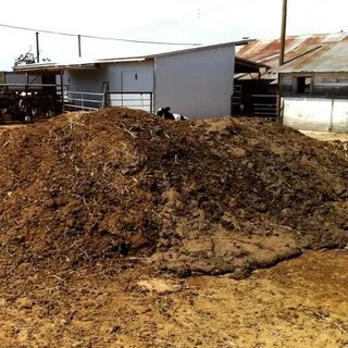 Навоз как органическое удобрение