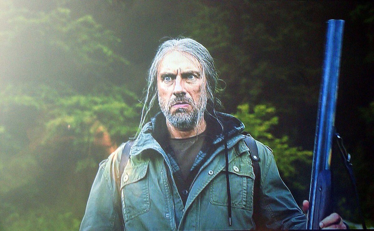 Судья Градов. Идет в лес убить медведя