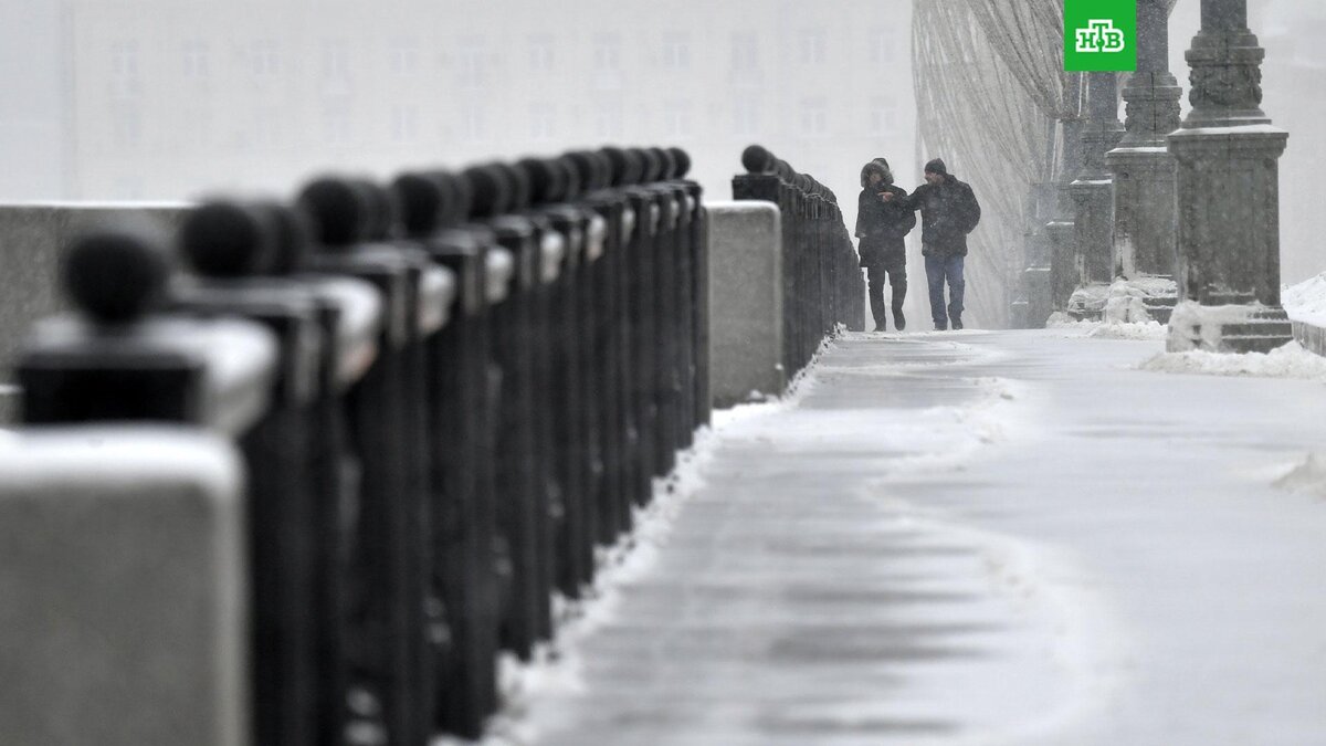    Фото: РИА Новости © 2022, Михаил Воскресенский