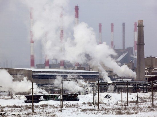     Фото: Юлия Боровикова