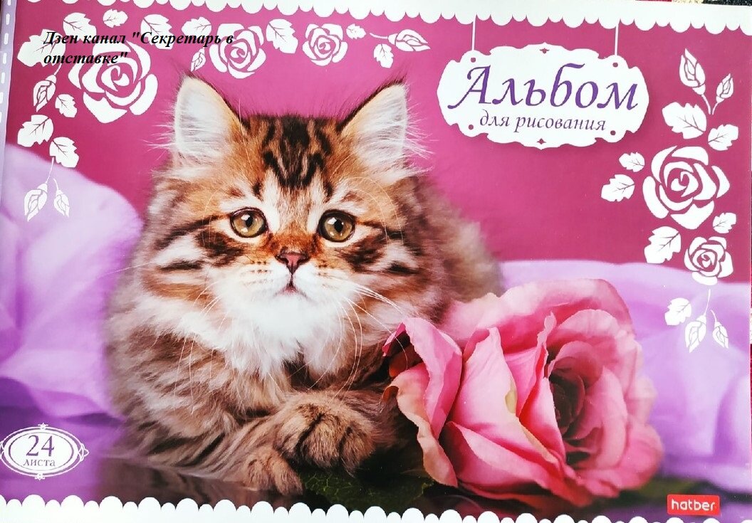 Грустный но милый котик. Личное фото автора