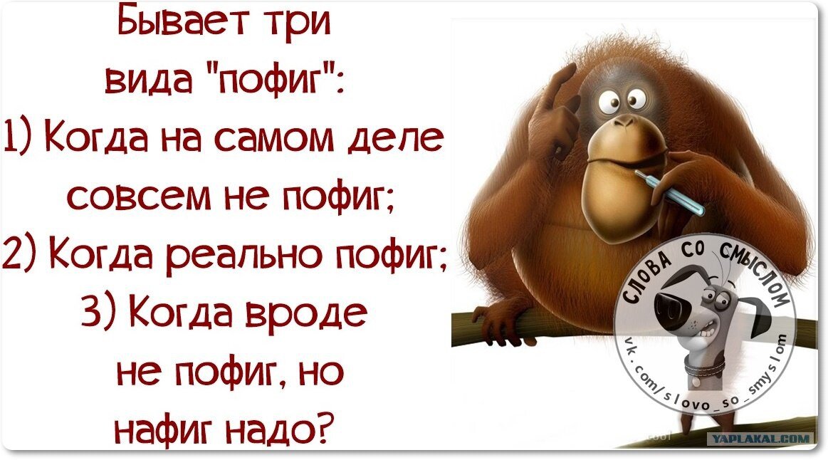 Бывшие хорошими не бывают. Девиз пофигиста. Анекдот про пофигистов. А мне пофиг. Пофиг картинки прикольные.