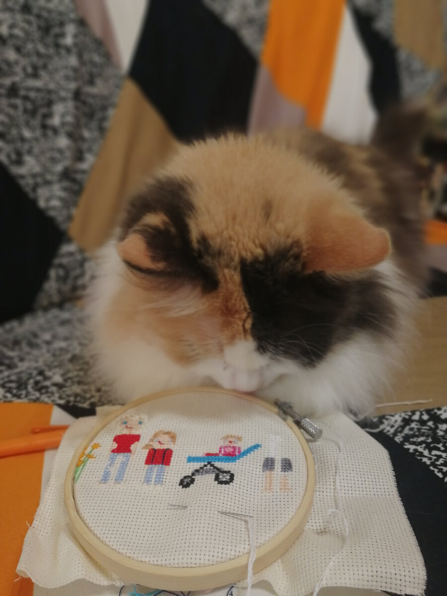 Вышиваем с помощником :)