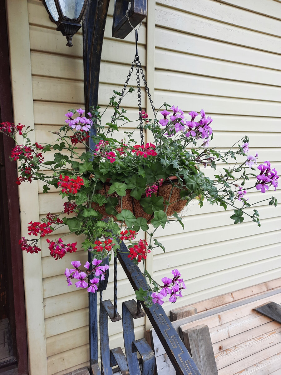 Июль 2021. Фото автора