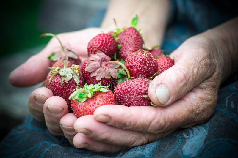 Фото из открытого источника ЯндексКартинки