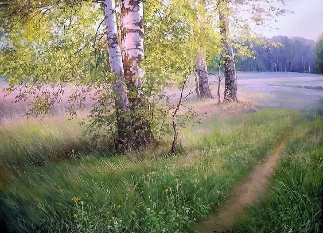 Картинка взята из свободной сети Интернет.