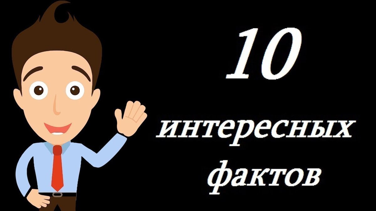 10 забавных фактов картинки