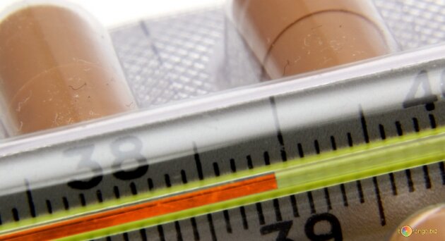    Грипп (cc) torange.biz