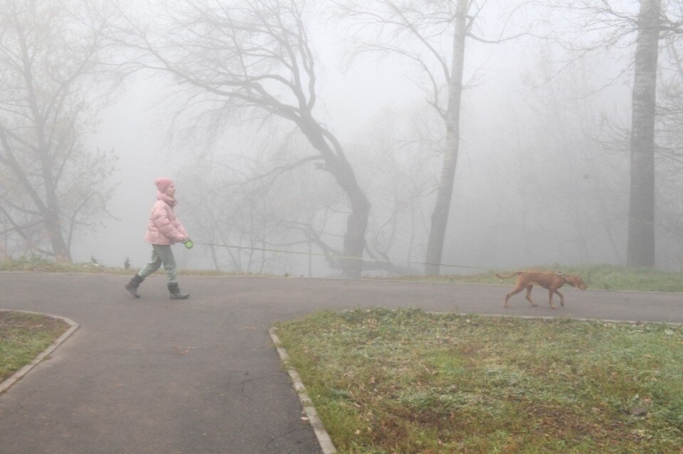     После туманного утра ожидается теплый день, а вот с понедельника похолодает. Михаил ФРОЛОВ