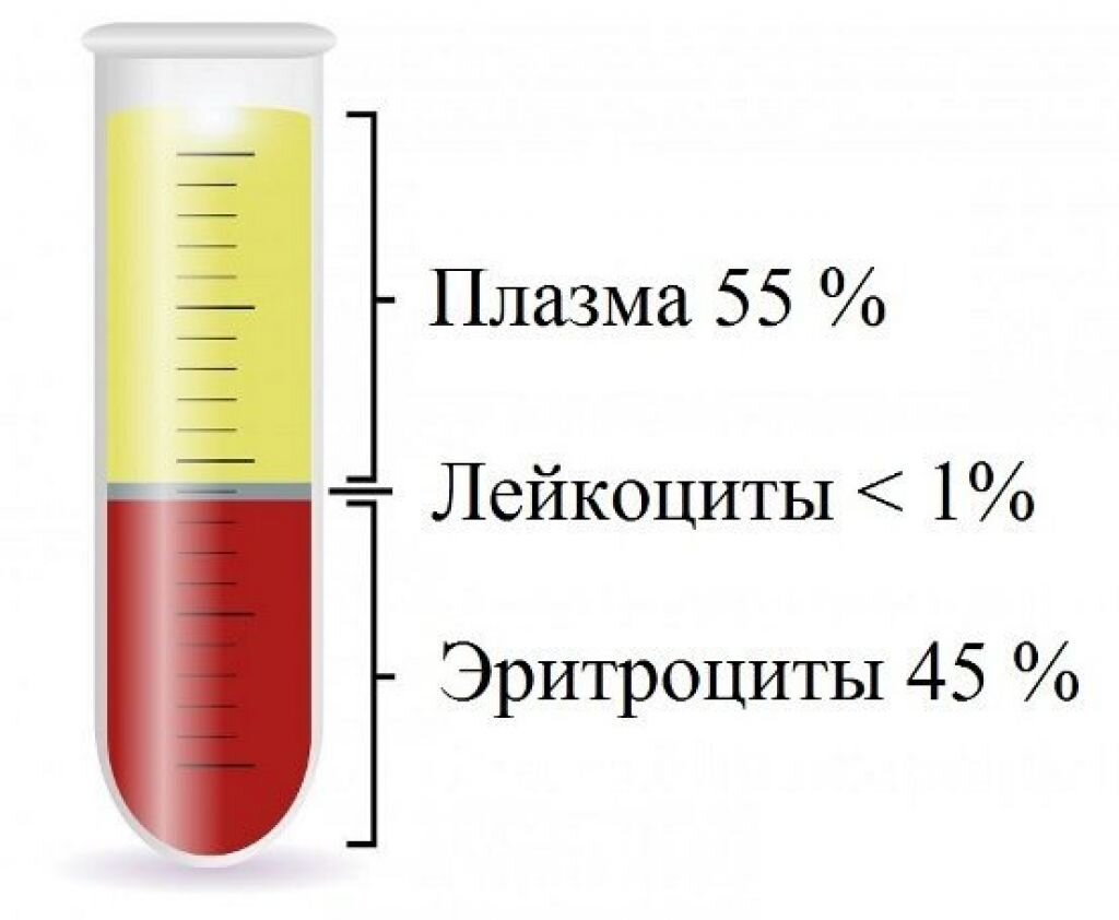 Оседания эритроцитов соэ