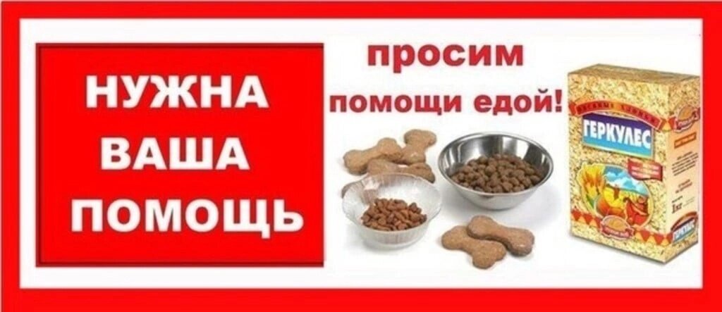 Сбор на корм картинки