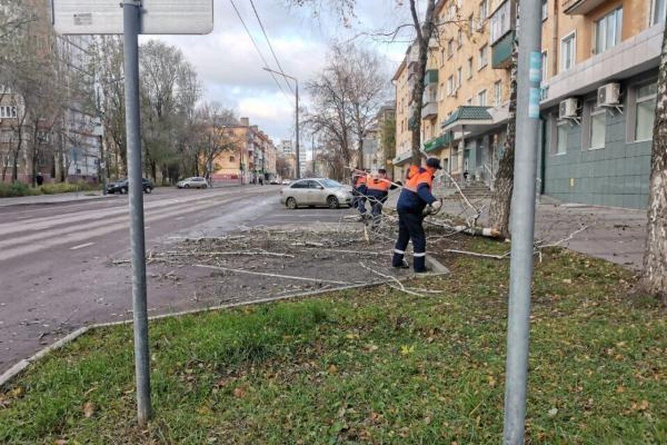     Сильный ветер повалил деревья и оторвал листы кровли в Липецке  Пресс-служба ГО и ЧС Липецка.
