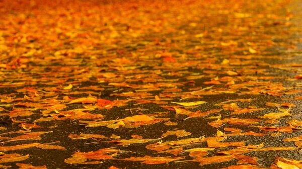   © Наманган вилояти ҳокимлиги матбуот хизмати