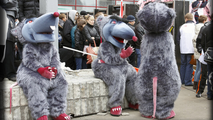 ФОТО: NIKSHOR/SHUTTERSTOCK.COM