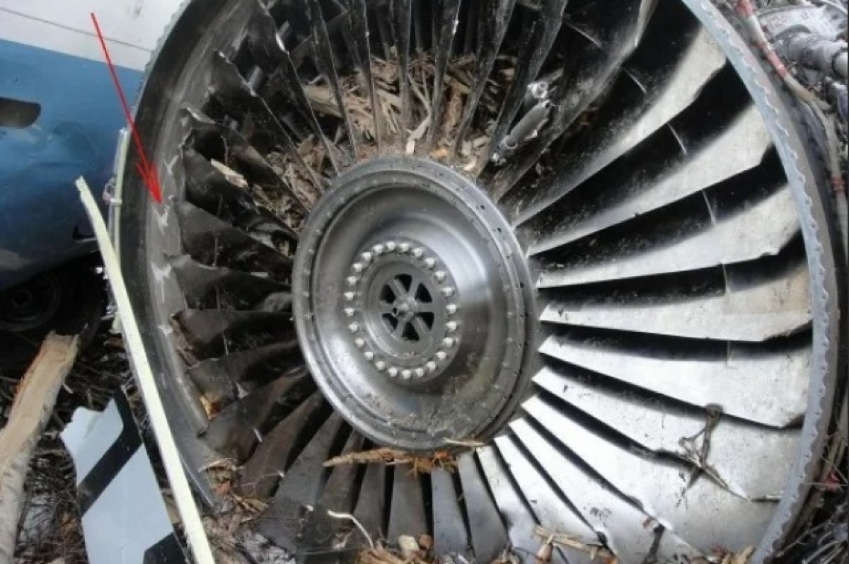    С аэропорта Уфы взыщут 5 млн за столкновение самолета с птицей в 2020 году