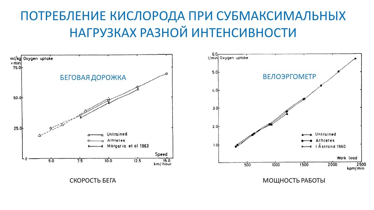 Оценка выносливости на беговой дорожке и на велотренажере. Сравнение |  Василий Волков | Дзен