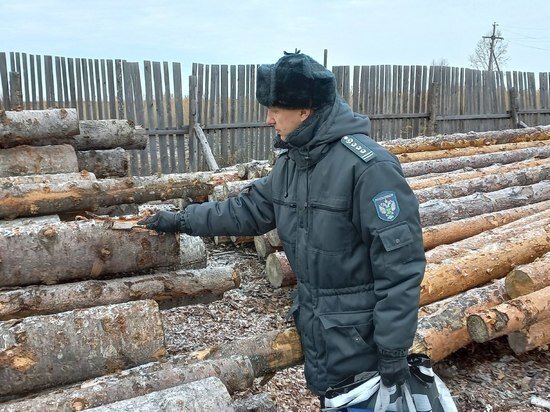     ФОТО: РОССЕЛЬХОЗНАДЗОР