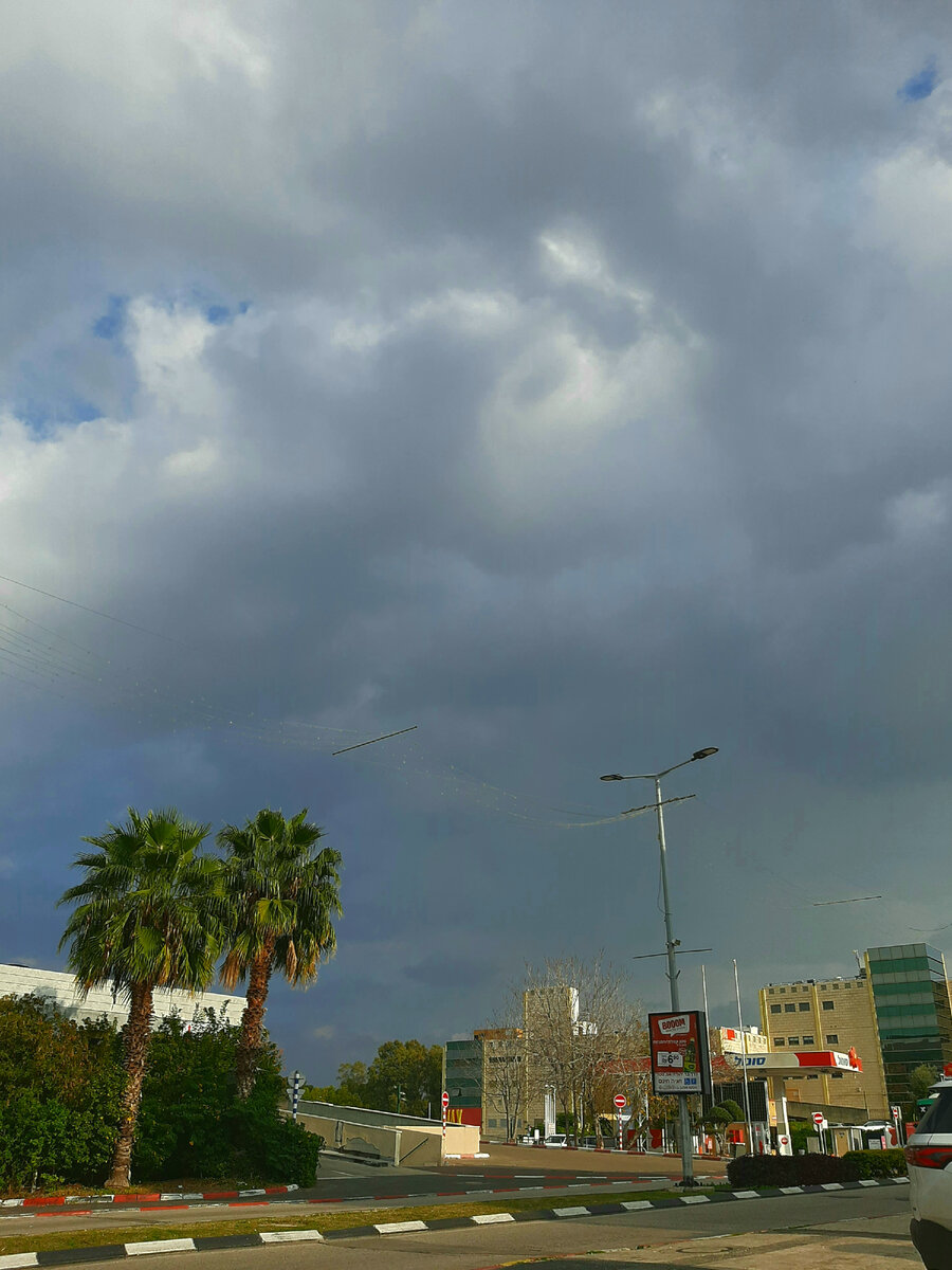 остановка автобуса. Нешер