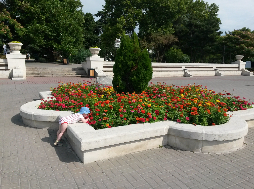 Клумба на Приморском Бульваре.