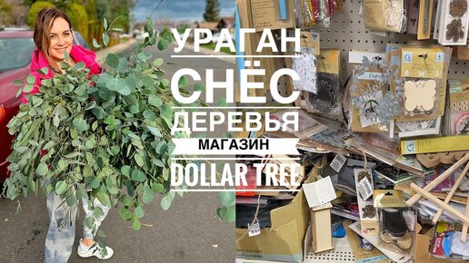 ВЛОГ / Dollar Tree / Развал в магазине / Уже Пасхальный декор / Для Юльки )))))))