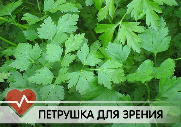 Фото из открытых источников интернета. 