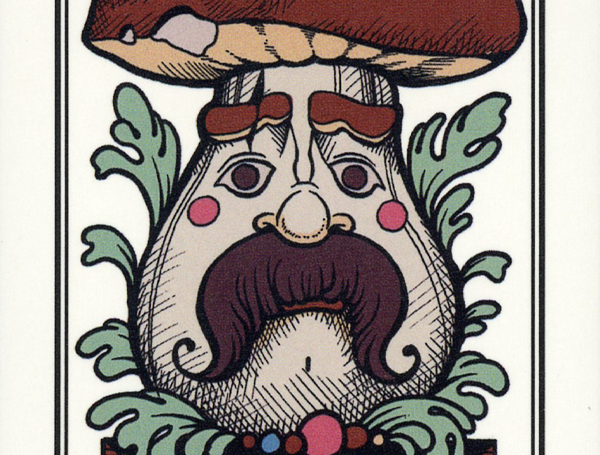 Грибной туз